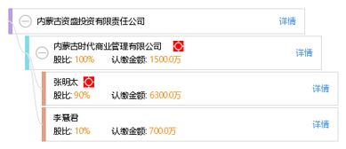 內蒙古資盛投資有限責任公司